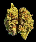 Tropical Cookies THCA flower